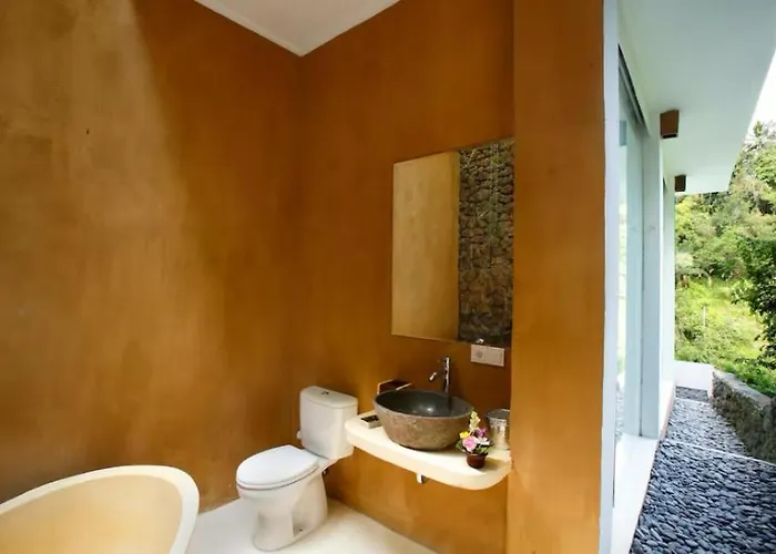 Villa Amy Jungle Ubud