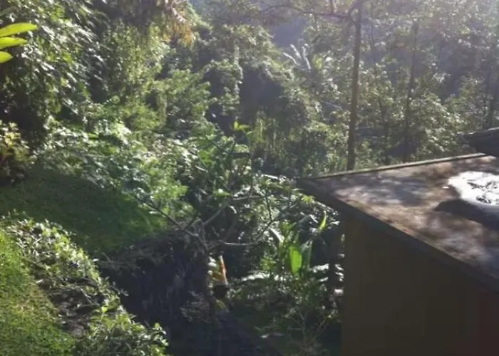 Villa Amy Jungle *
