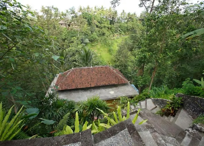 Villa Amy Jungle