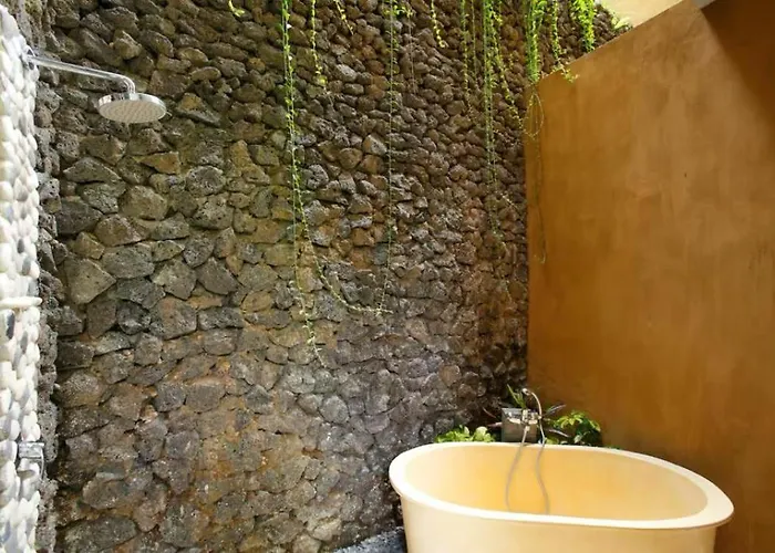 Amy Jungle Villa Ubud