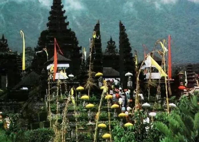 Villa Amy Jungle *