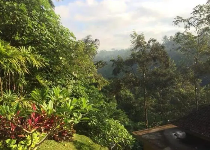 Amy Jungle Ubud