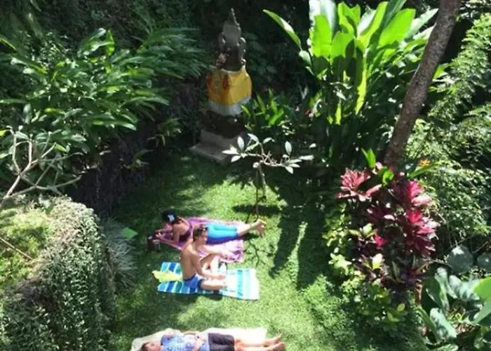 Amy Jungle *
